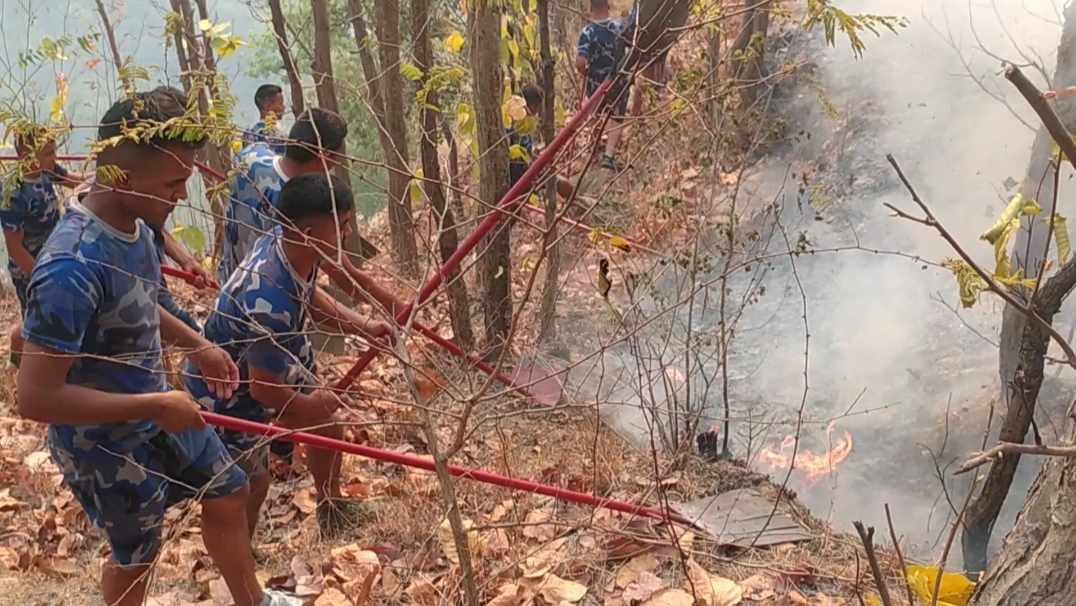 दिपायलकाे कुलपाते जंगलमा आगलागि : सेना प्रहरीदारा नियन्त्रणमा 