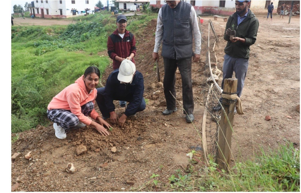 अनेरास्ववियू डडेल्धुराले गर्यो संविधान दिवसको अवसरमा वृक्षारोपण