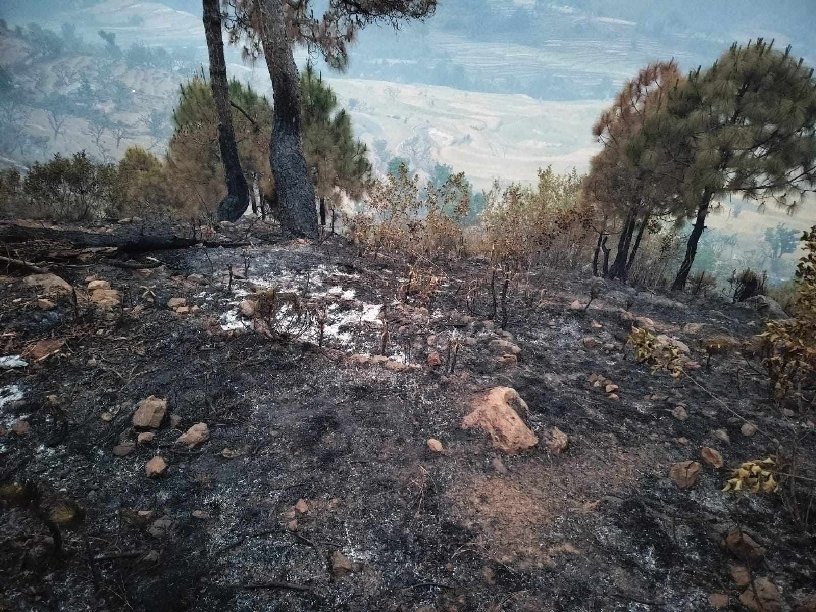 डाेटीकाे एक कृषि फर्ममा आगलागी,करोडौंको क्षति 