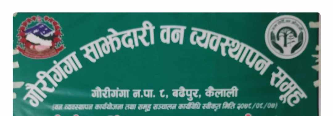 कैलालीको गौरीगंगा साझेदारी वन उपभोक्ता समूहमा विवादको बिच रुख काट्न दौडधूप